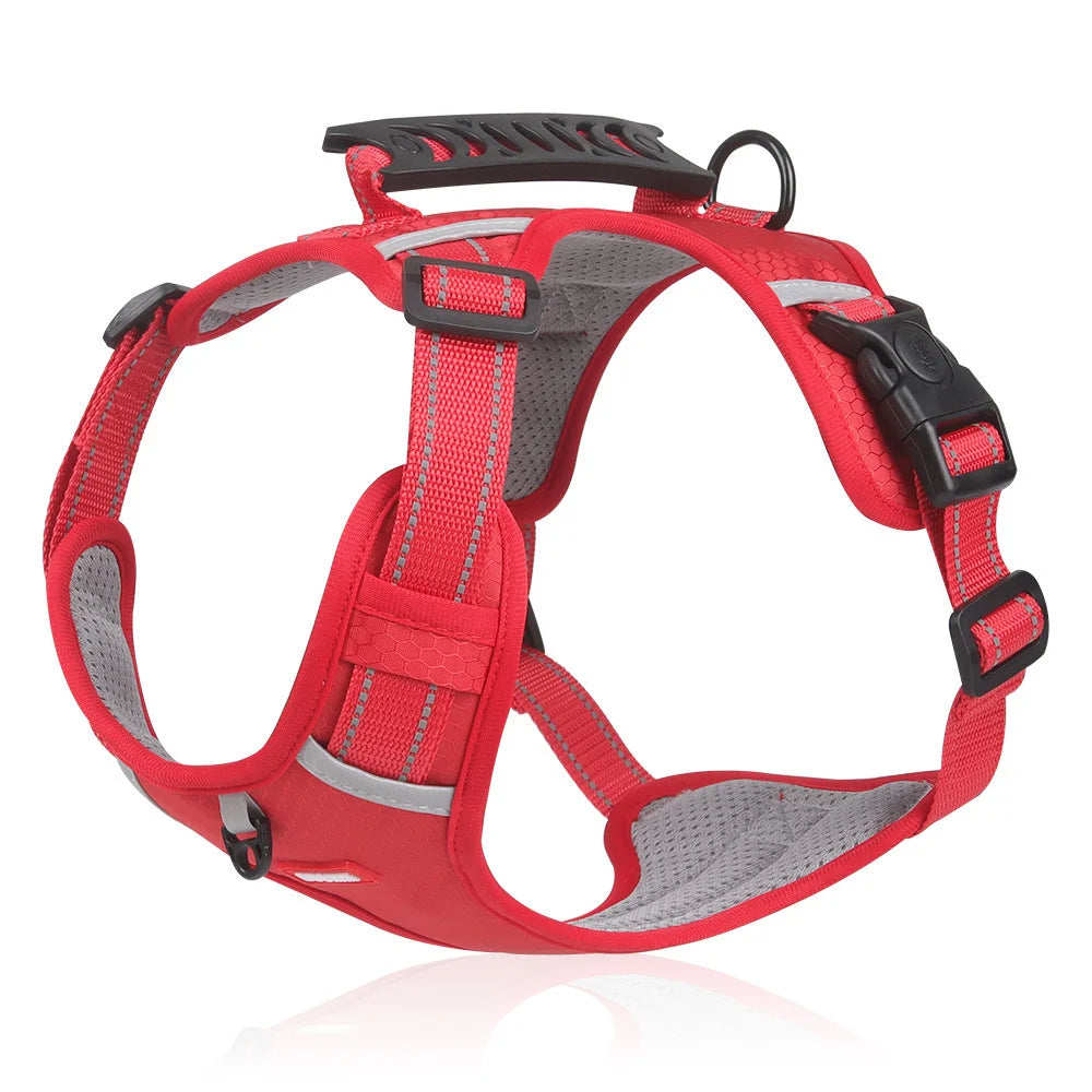 🔥Najprodavanije 🐶 【5–30 kg】Oprta protiv povlačenja – 🎁 Savršen poklon za svakog ljubitelja pasa