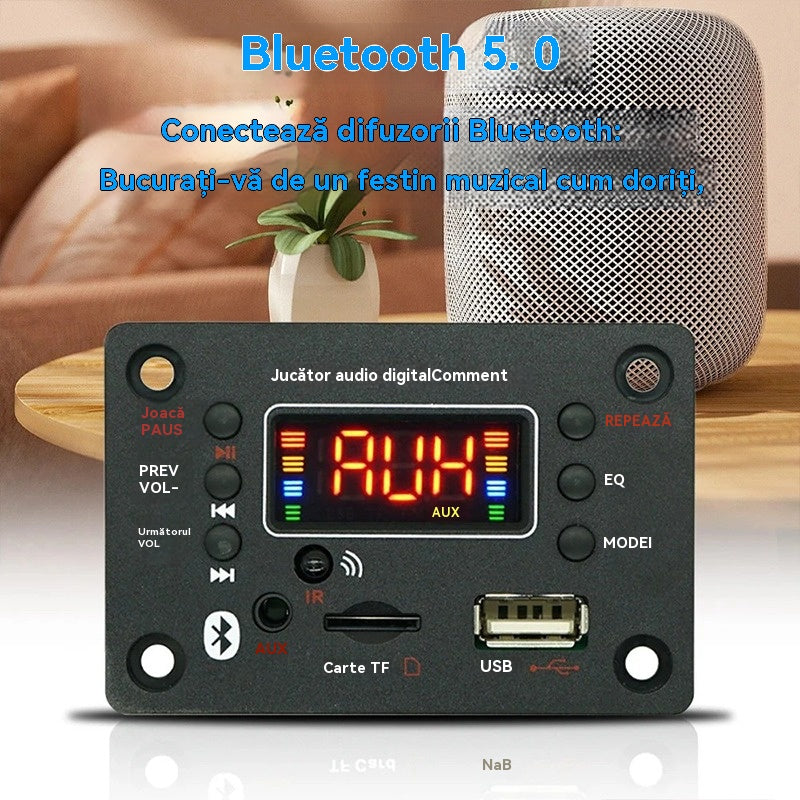 [Cumpărați unul și primiți unul gratis]🎵 Amplificator și decodor pentru difuzoare Bluetooth, cu telecomandă wireless, conexiune USB și funcție de înregistrare🎙️