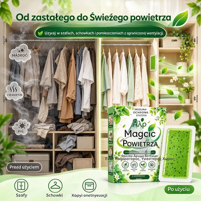 🔥🌿【2 opakowania za 109 zł】🚫🪳Długotrwałe naklejki z piołunem na roztocza – 1 opakowanie (6 naklejek)