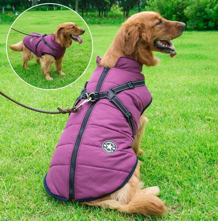 🔥🐕‍🦺【50% zniżki】Ubrania narciarskie na jesień i zimę dla zwierząt, wodoodporna i ciepła bawełniana kurtka dla psów