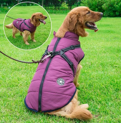 🔥🐕‍🦺【50% zniżki】Ubrania narciarskie na jesień i zimę dla zwierząt, wodoodporna i ciepła bawełniana kurtka dla psów