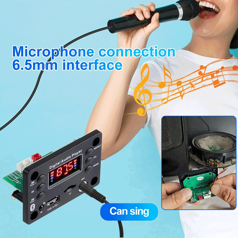 [Cumpărați unul și primiți unul gratis]🎵 Amplificator și decodor pentru difuzoare Bluetooth, cu telecomandă wireless, conexiune USB și funcție de înregistrare🎙️