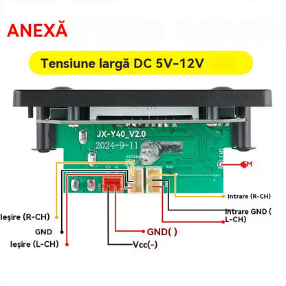 [Cumpărați unul și primiți unul gratis]🎵 Amplificator și decodor pentru difuzoare Bluetooth, cu telecomandă wireless, conexiune USB și funcție de înregistrare🎙️