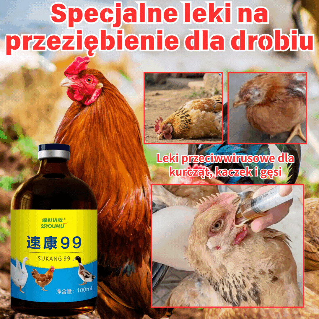 【Kup 1, otrzymaj 3 gratis】💊🐓🦆🕊️ Lek na ptasią grypę, utratę apetytu, biegunkę i kaszel u drobiu, kurczaków, kaczek i gęsi. 1 butelka 100 ml.