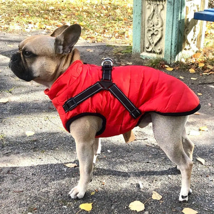 🔥🐕‍🦺【50% zniżki】Ubrania narciarskie na jesień i zimę dla zwierząt, wodoodporna i ciepła bawełniana kurtka dla psów