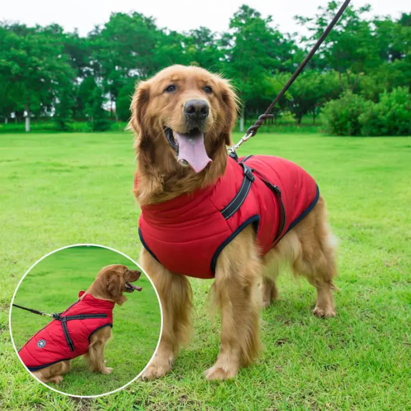 🔥🐕‍🦺【50% zniżki】Ubrania narciarskie na jesień i zimę dla zwierząt, wodoodporna i ciepła bawełniana kurtka dla psów