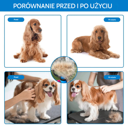 🐾 Profesjonalne narzędzie do usuwania martwego włosa dla psów i kotów: łagodne, skuteczne i dom wolny od włosów ✨💖