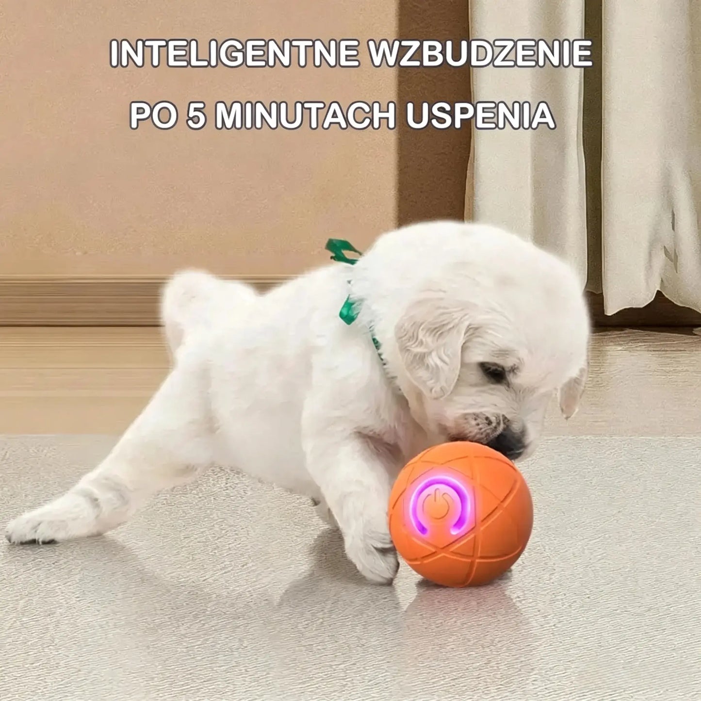 🎁【2 szt.】Inteligentna, interaktywna piłka dla zwierząt (odbijająca się)🐶