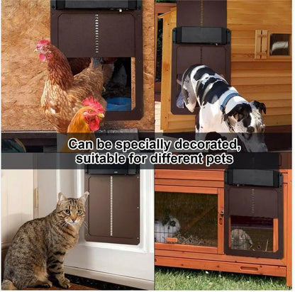 Časovo obmedzená ponuka! 🔥 Automatické dvere kurníka so svetelným senzorom.