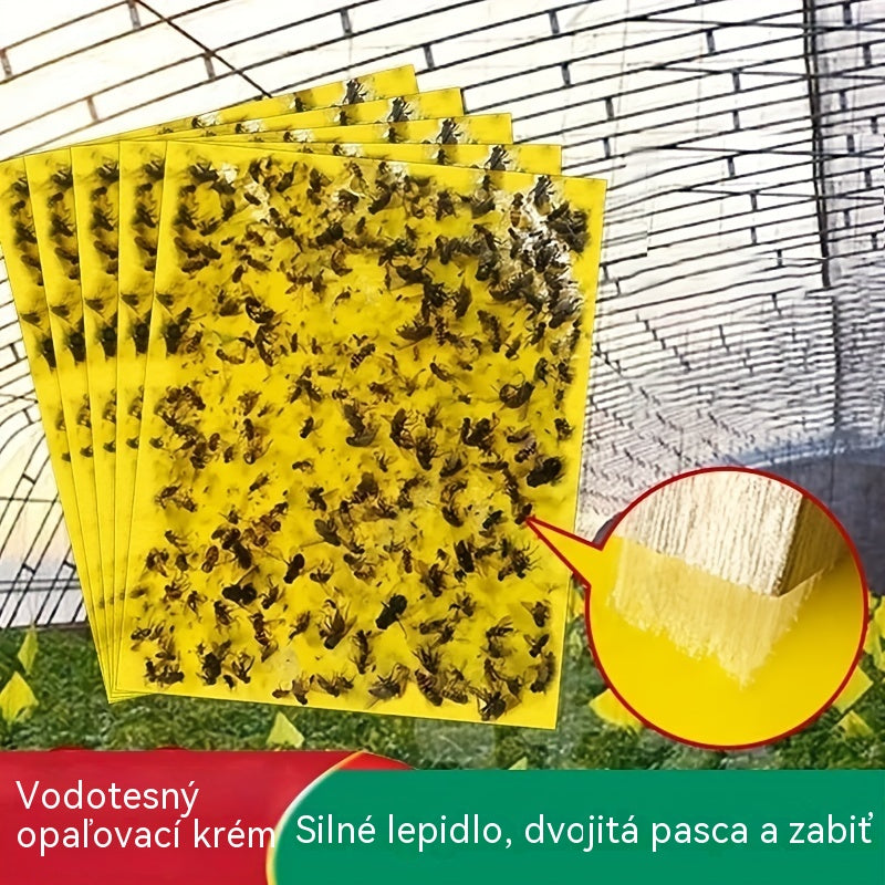 🔥✨【Zľava 50%】💥【60 ks.】Žltá obojstranná lepiaca nástenka proti hmyzu