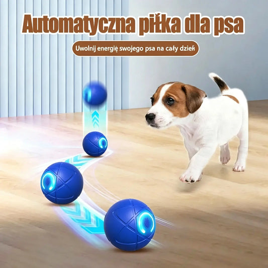 🎁【2 szt.】Inteligentna, interaktywna piłka dla zwierząt (odbijająca się)🐶