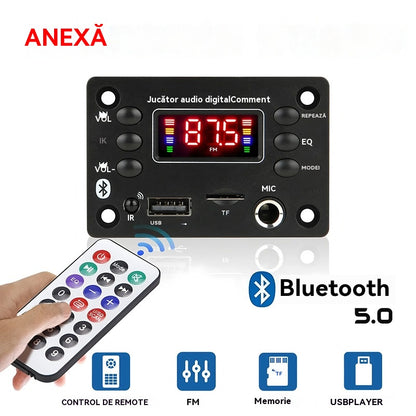 [Cumpărați unul și primiți unul gratis]🎵 Amplificator și decodor pentru difuzoare Bluetooth, cu telecomandă wireless, conexiune USB și funcție de înregistrare🎙️