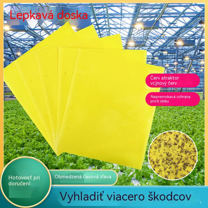 🔥✨【Zľava 50%】💥【60 ks.】Žltá obojstranná lepiaca nástenka proti hmyzu