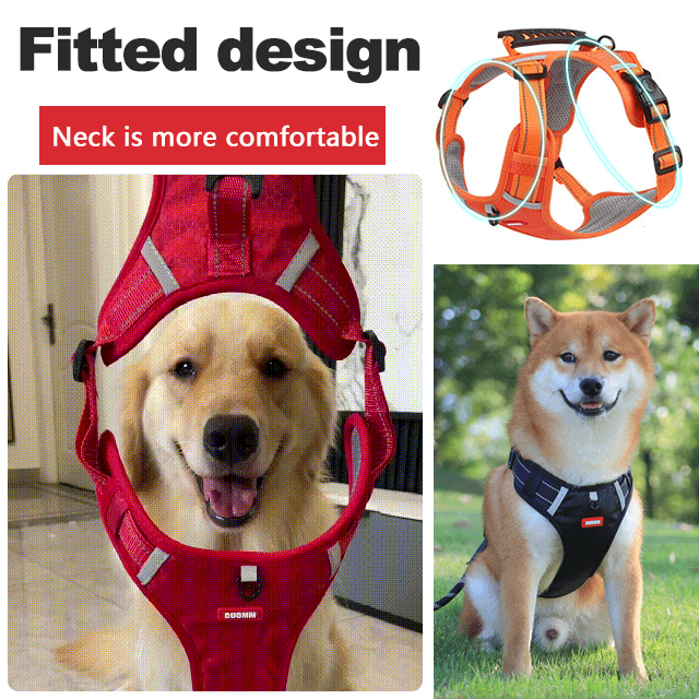 🔥Najprodavanije 🐶 【5–30 kg】Oprta protiv povlačenja – 🎁 Savršen poklon za svakog ljubitelja pasa